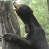 動物園にて３