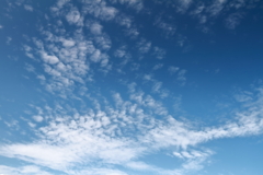 上空は秋1