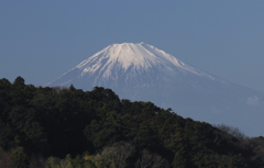 富士山遠景