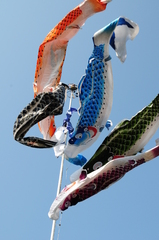 大空に泳ぐ