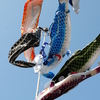 大空に泳ぐ