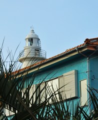 灯台が見える道