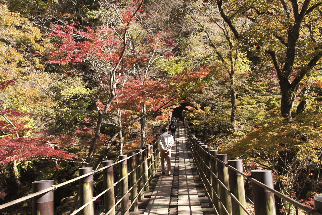 吊り橋秋景