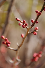 もうすぐ会えるね