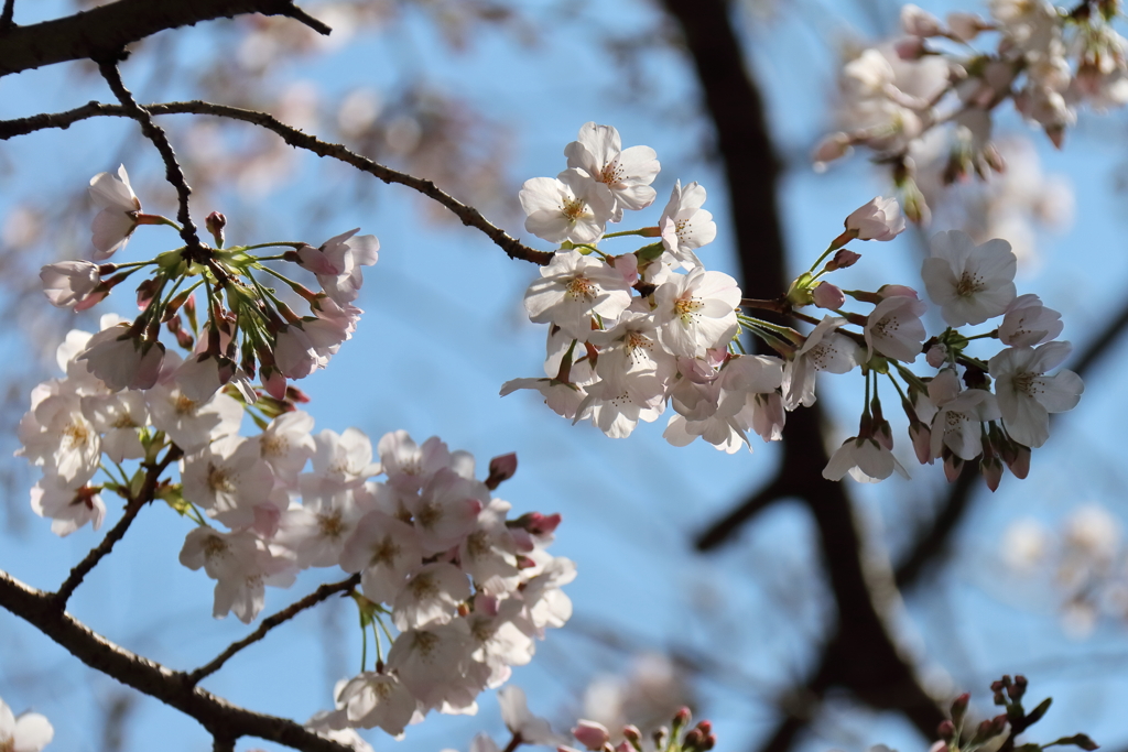 待ち焦がれて１