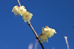 間もなく交代２