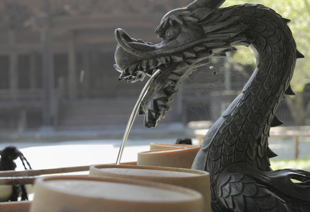 冷たい水有ります