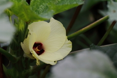 公園で作っています