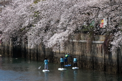 水面を歩きながら１