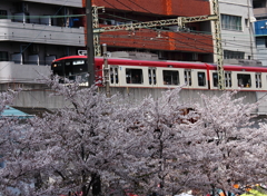 花を走る