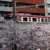 花を走る