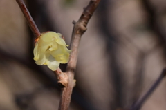 間もなく交代１