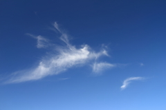 ドラゴンが駆け回る