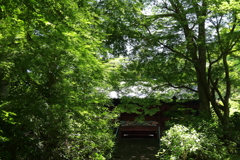 新緑の寺６