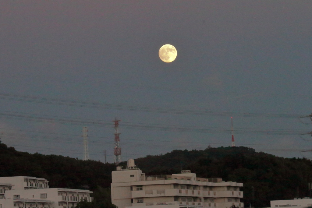 名月浮かぶ１