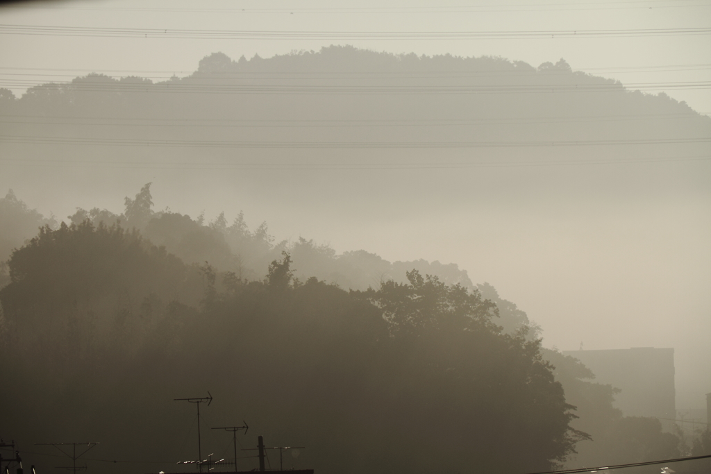 霧の朝