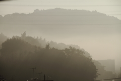 霧の朝
