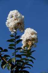 夏の終わりを告げて