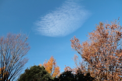 秋空高く