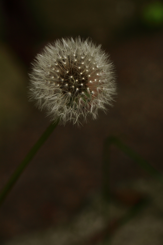 秒読みビッグバン