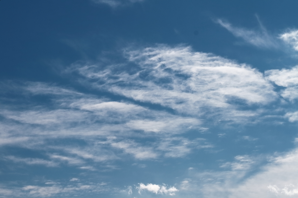 久しぶりの秋空
