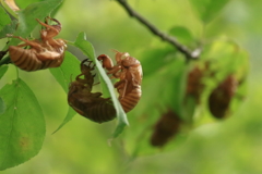 お気に入りの場所で