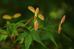 hold short of runway
