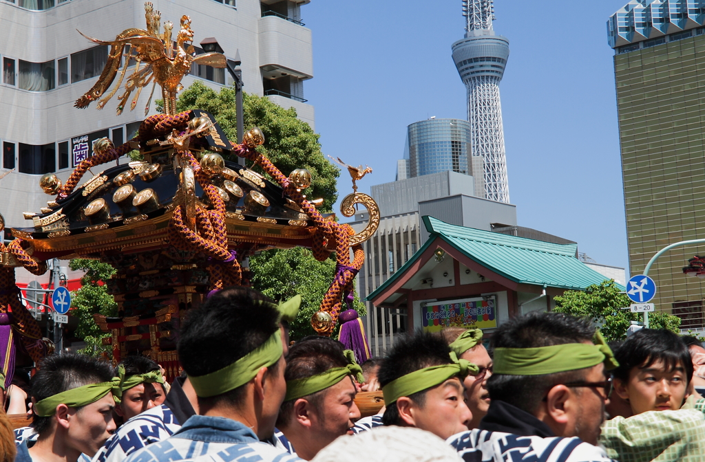 神輿とツリー