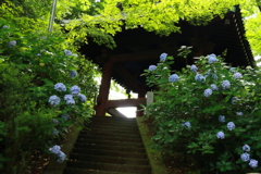 鐘楼へ