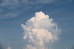 夏雲の顔１