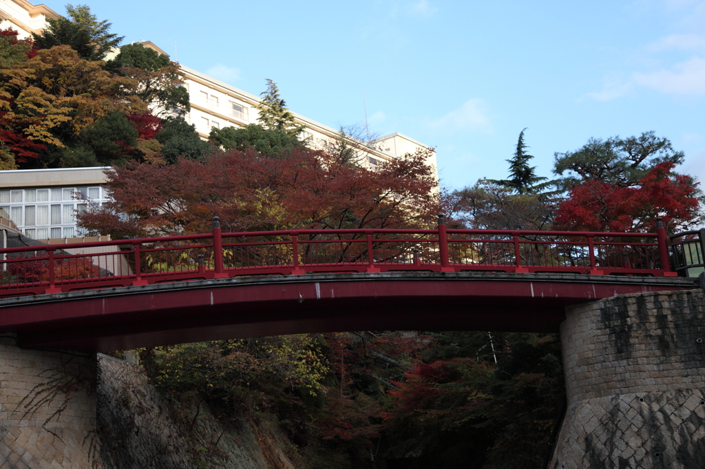 有馬　紅葉