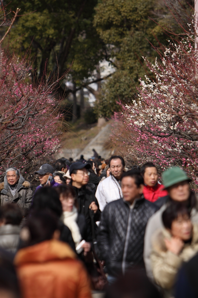 大阪城公園にて