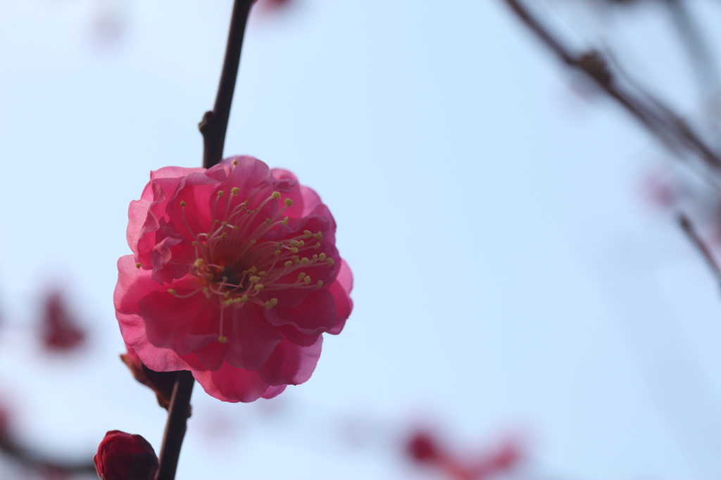 大阪城公園にて