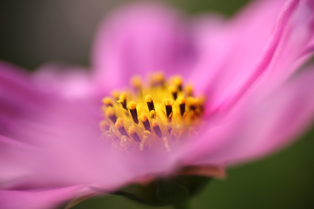 鶴見緑地公園
