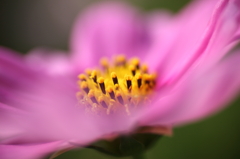 鶴見緑地公園