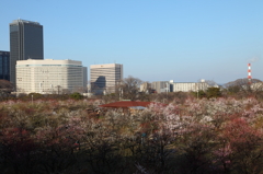 大阪城公園にて