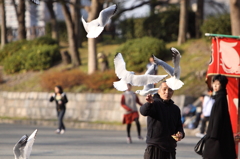 大阪城公園にて