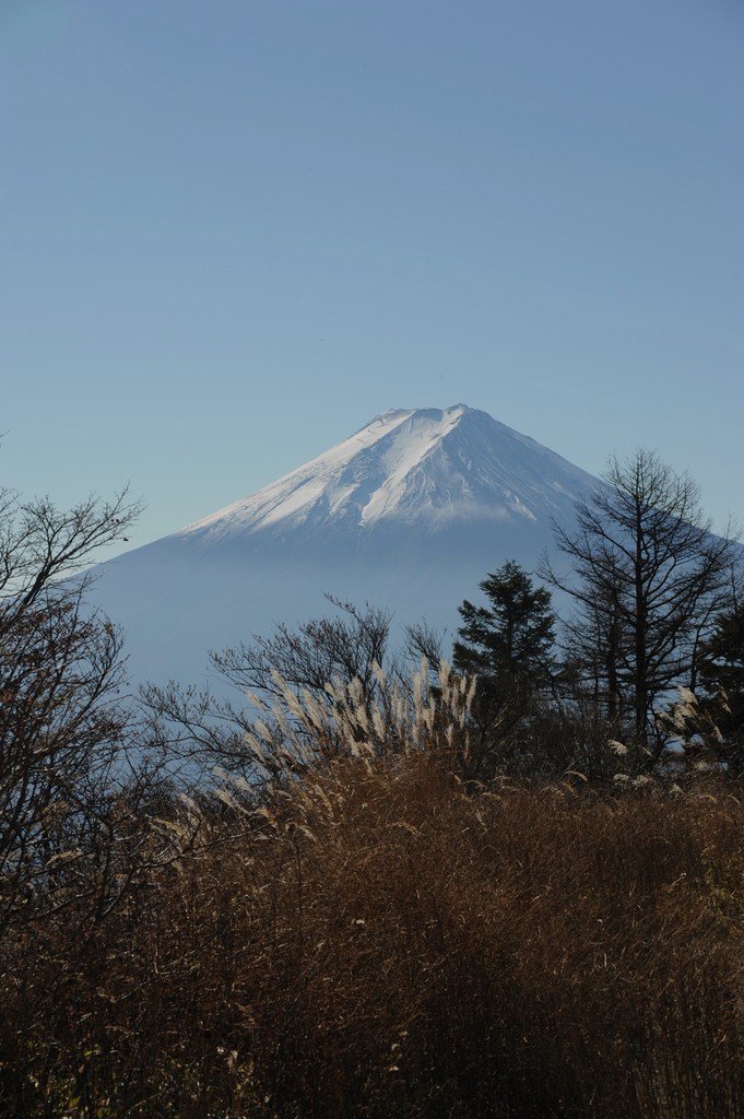 三つ峠からの富士山