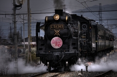 パレオエクスプレス