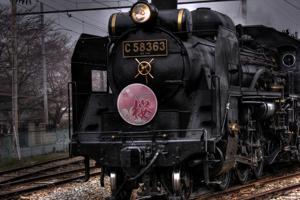 パレオエクスプレス