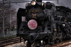 パレオエクスプレス