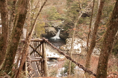 奥祖谷　かずら橋