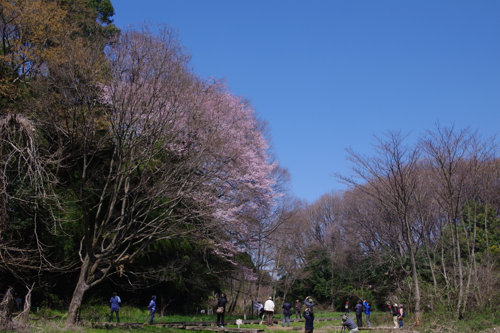 IMGP3990 f5.6  320-1★★★○