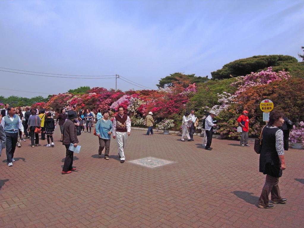 館林のツツジ 005