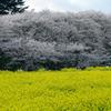 IMGP4286　オート　f5.6　★★★