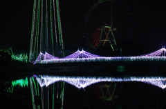 IMGP0893