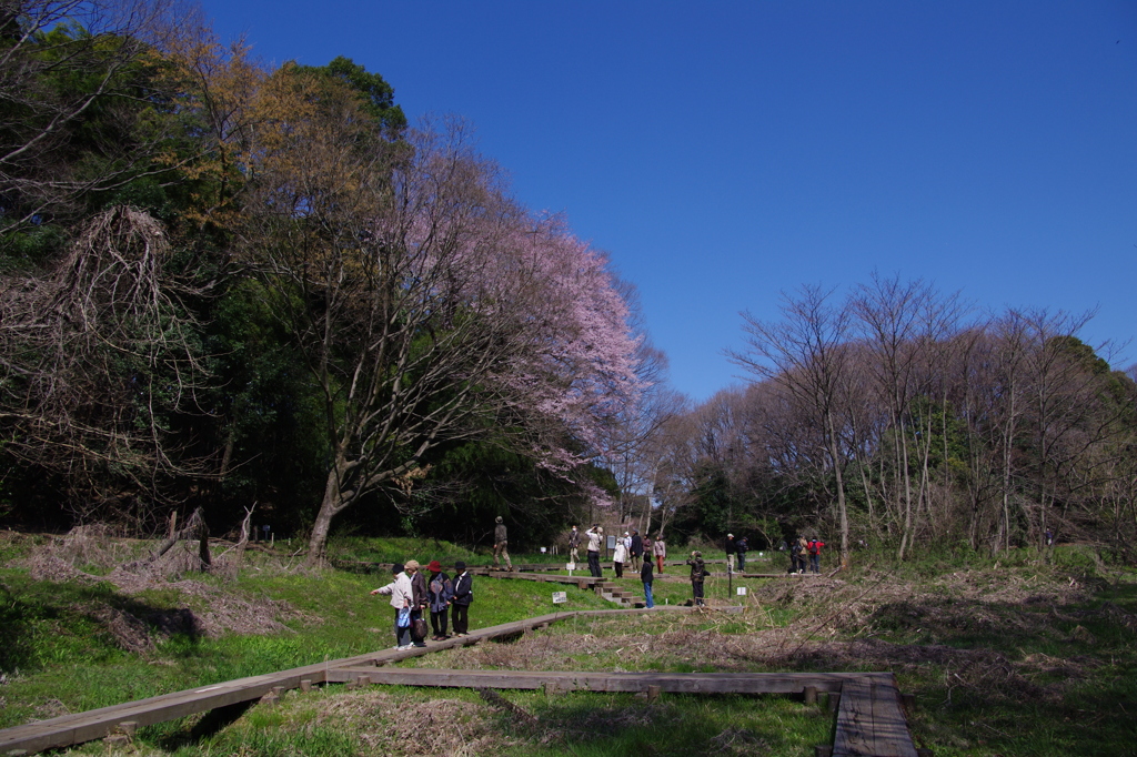 IMGP3853 f5.6 400-1★★