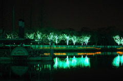 IMGP0889