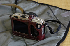 IMGP1932