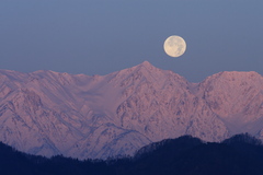 MOON